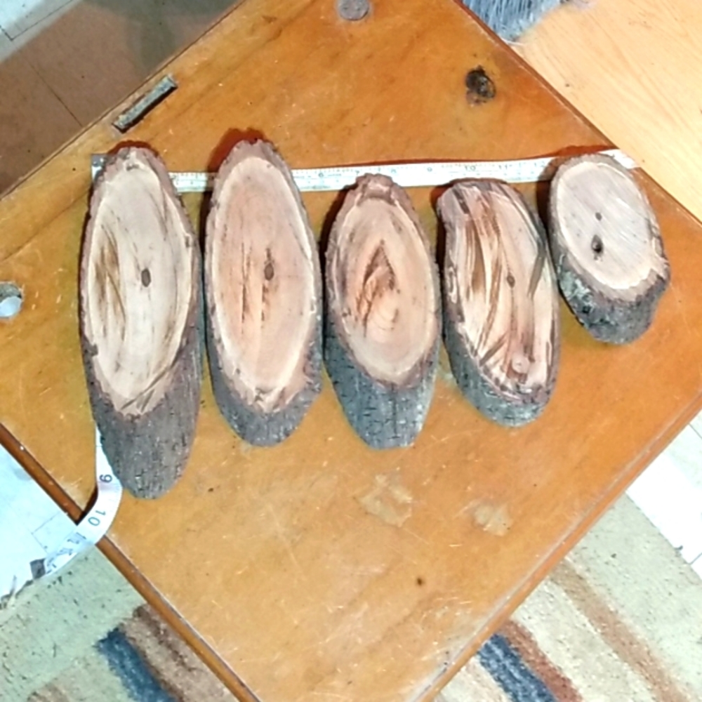 5 discs wood pieces for crafts